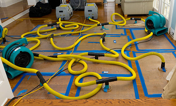 Professional Burst Pipe Water Damage technician working in Sealevel, NC